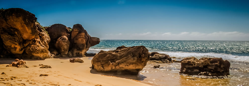 Picture of an ocean coast